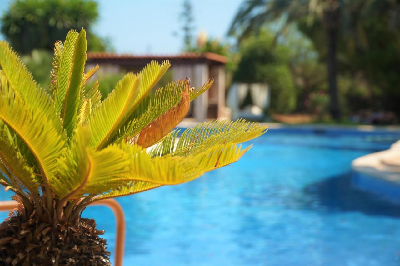 Agroturismo Finca Sa Tanca Cala D´Or Buitenkant foto