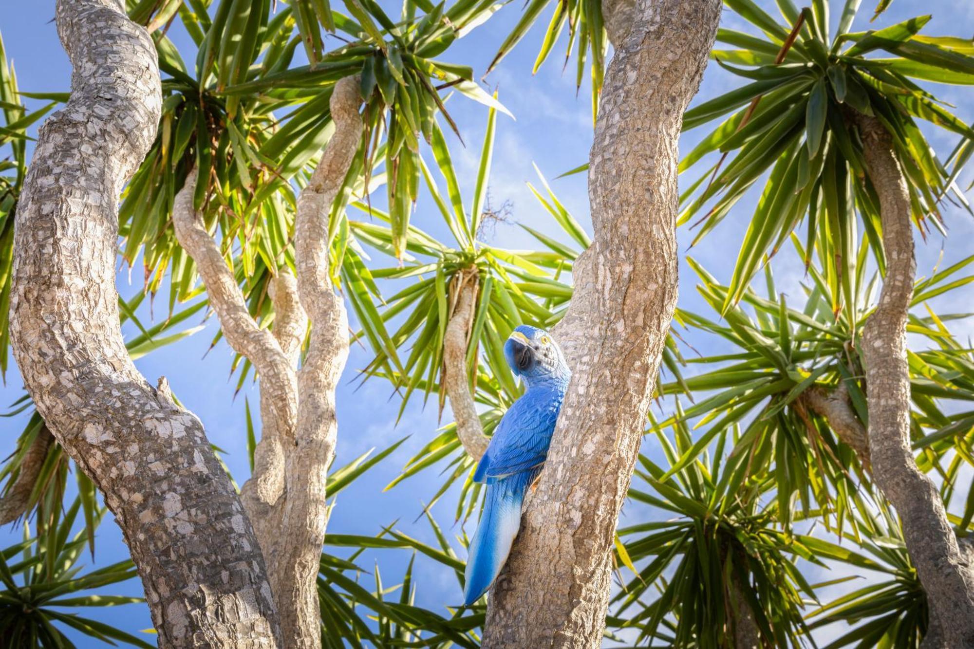 Agroturismo Finca Sa Tanca Cala D´Or Buitenkant foto